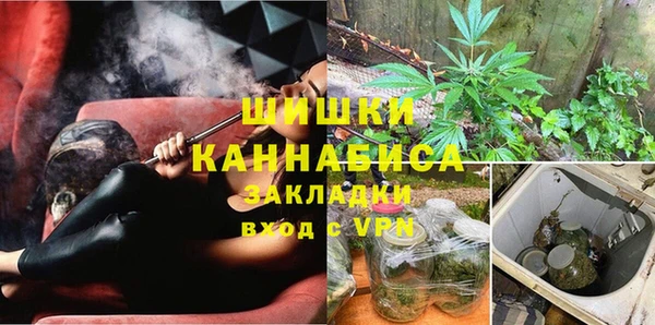 стаф Тутаев
